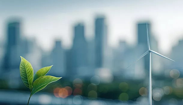 Image d'arrière plan du site Wattmen avec une ville et en 1er plan une plante et une éolienne